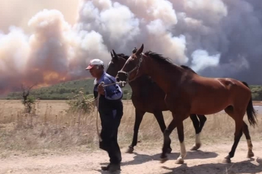 Grecia regala vacaciones gratis a los turistas que fueron evacuados en la isla de Rodas tras los incendios