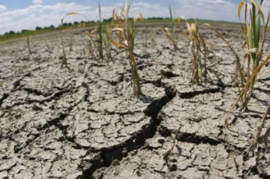 Preocupación del senador Borla por la catástrofe ambiental en el norte santafesino