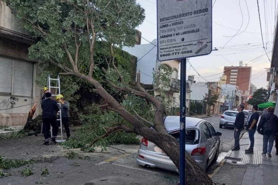 El temporal de viento generó problemas en la ciudad: hubo ráfagas de hasta 77 kilómetros por hora