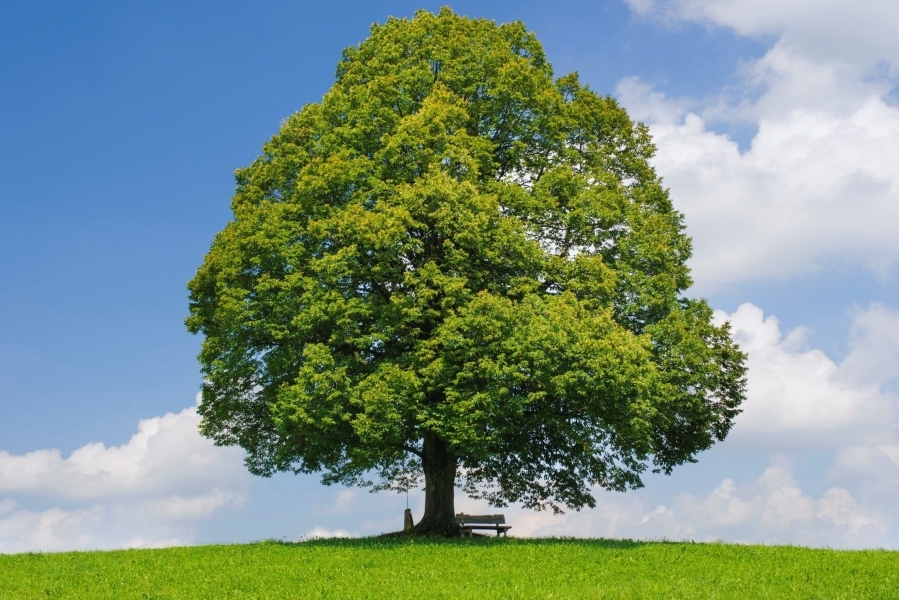 Si estas cansado de dar, quizás alcance con estar
