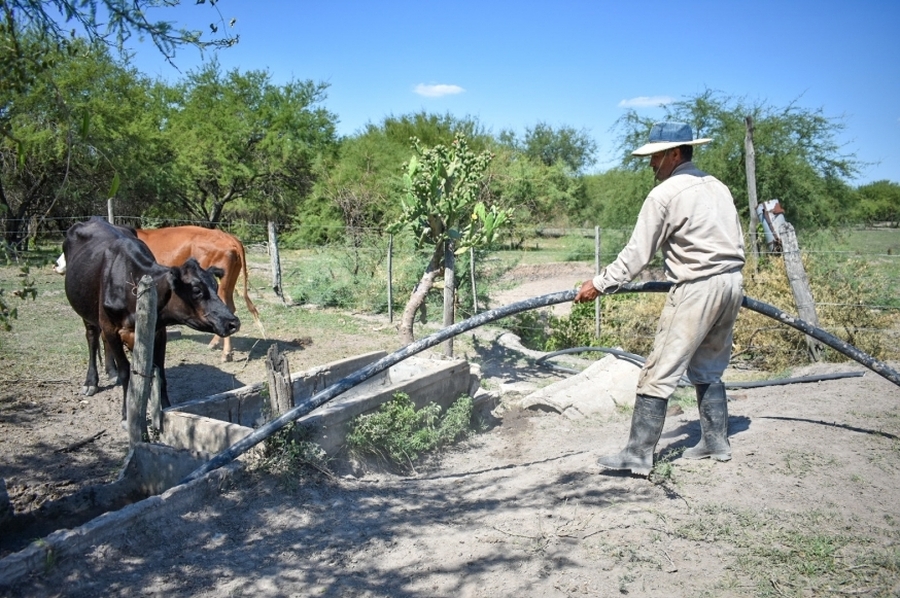Emergencia Agropecuaria: inicia la inscripción para una nueva asistencia económica a pequeños productores