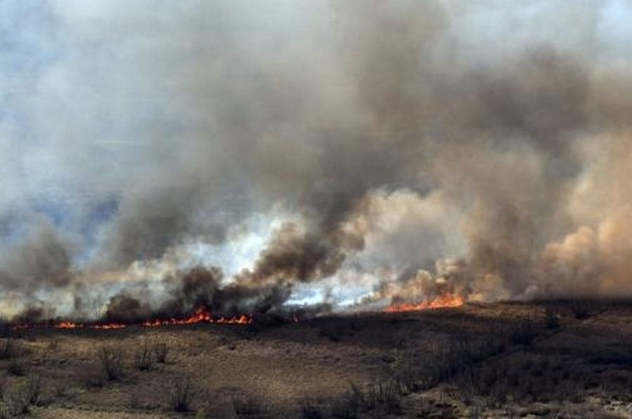Incendios en el Delta del Paraná: hay focos en Rosario-Victoria, San Pedro y Zárate