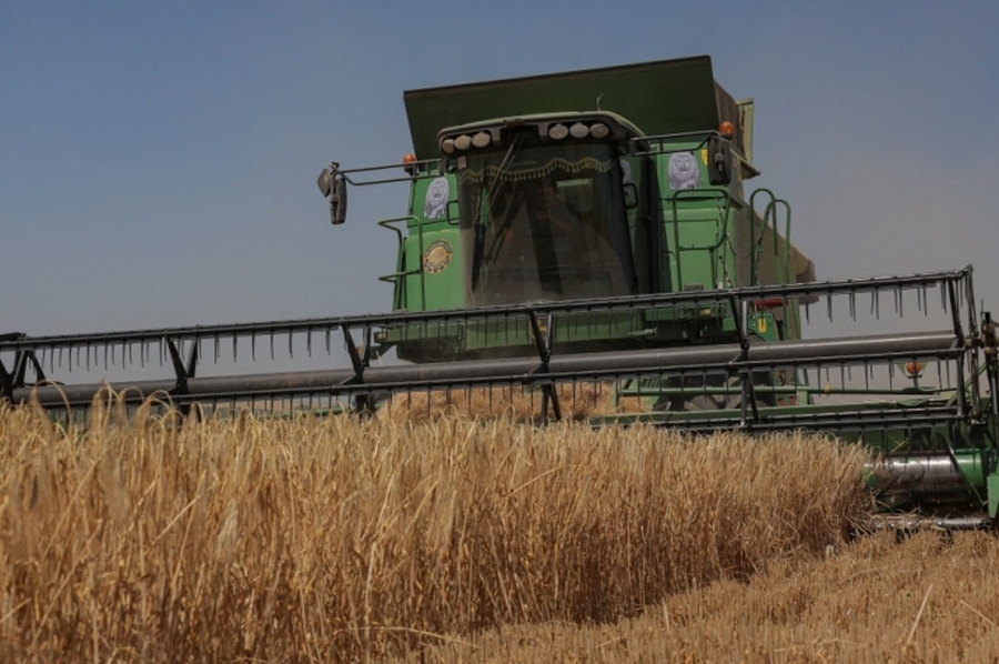 Tensión internacional: Ucrania recurrió a la OMC por el polémico veto a los granos en países vecinos