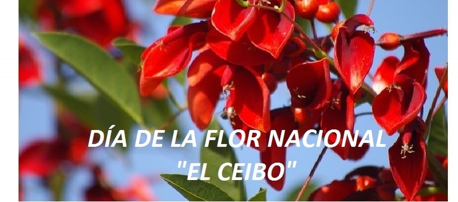 Aires del Interior - Día de la Flor Nacional 