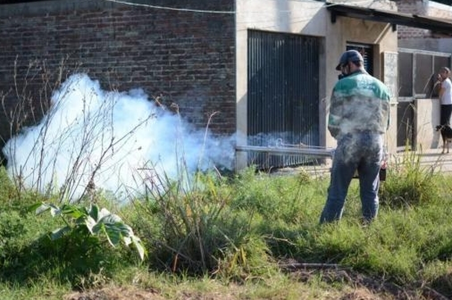 Operativo dengue: ¿Cuáles son las zonas de fumigación este miércoles?