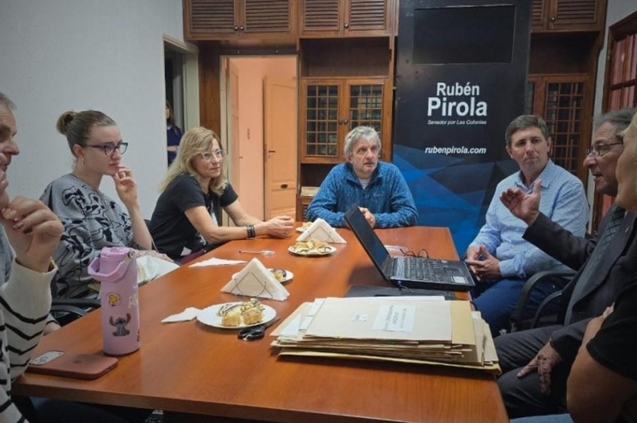 Las Colonias eligió su bandera: 