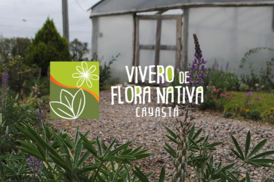 Cayastá fortalece el crecimiento del Vivero de Flora Nativa