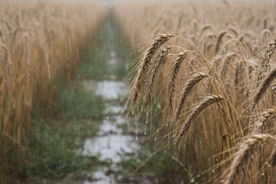 El fenómeno de “El Niño” comienza a mostrar sus efectos en Las Colonias y crece el nivel de las napas