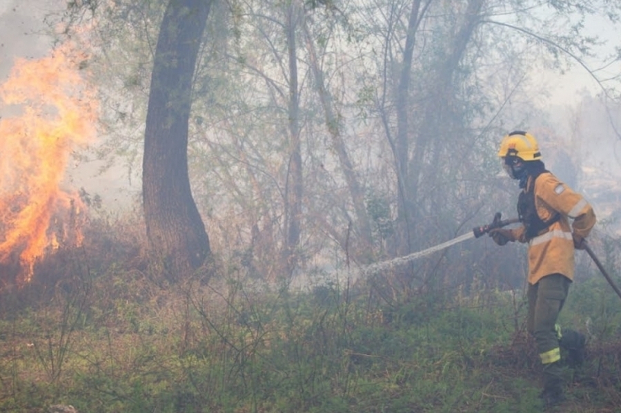 Brigadistas forestales de Santa Fe combaten focos ígneos en zona de islas entrerrianas