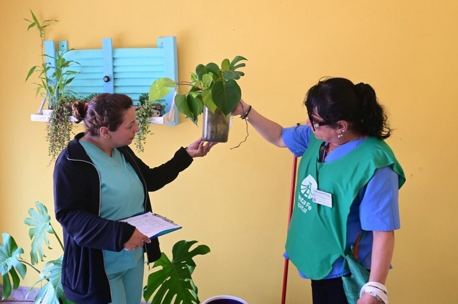 El mosquito vector del dengue está en 13 barrios de la ciudad pero no hay casos confirmados