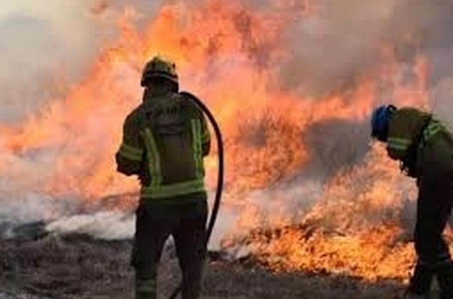 Incendios en Córdoba: Cáritas lanza campaña de donaciones para los afectados