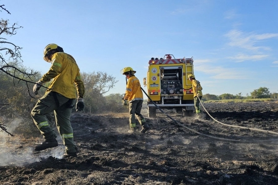 Brigadistas lograron apagar los incendios en Cacique Ariacaiquín