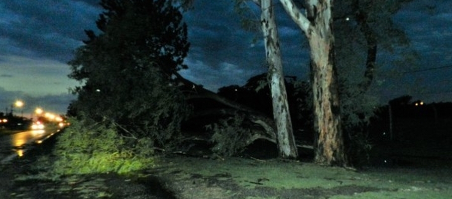 Voladura de techos y caída de árboles por una fuerte tormenta en San Javier