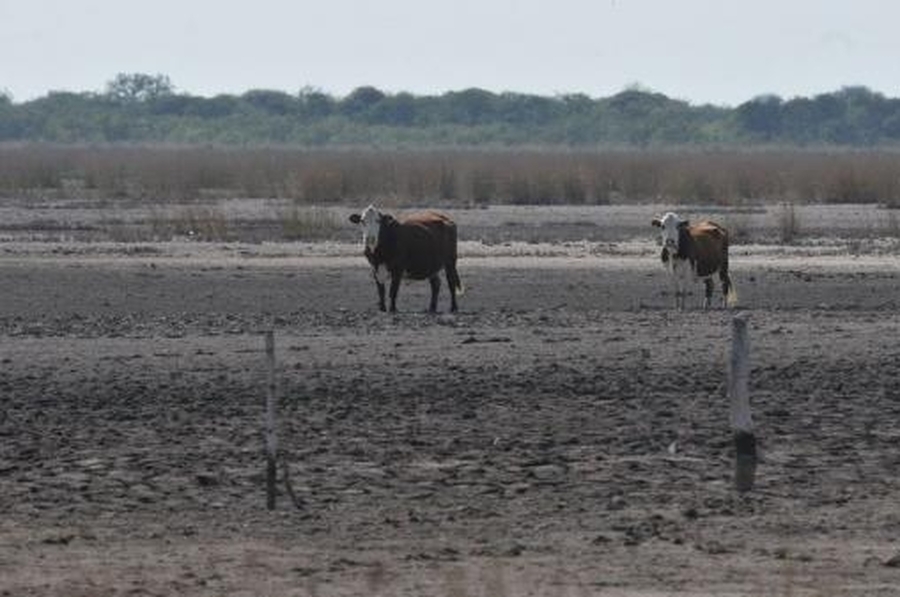 “La sequía no ha terminado” advierte el presidente de la Sociedad Rural de Tostado