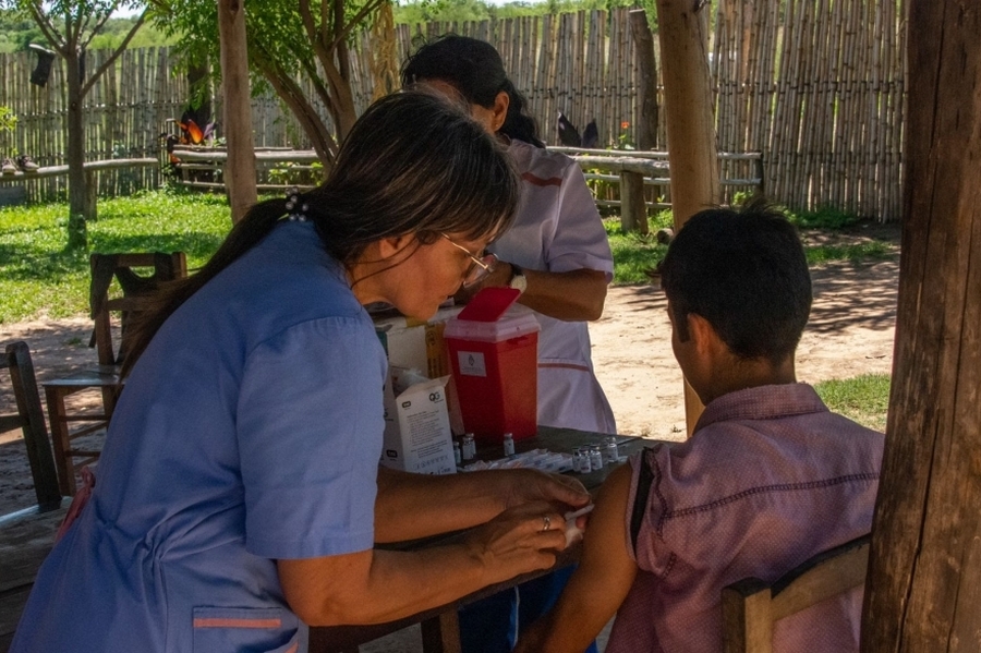 Objetivo Dengue: vacunar en la isla, casa por casa