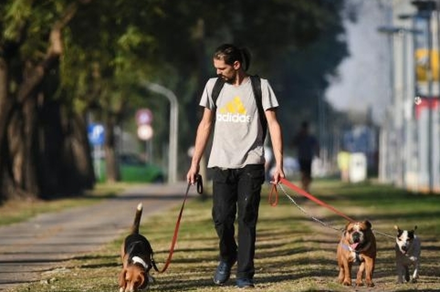 El invierno retrocede en una semana que se anuncia cálida