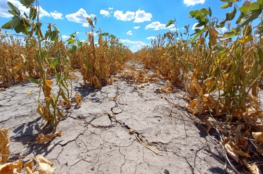 La provincia abrió la reinscripción para productores con certificado de emergencia agropecuaria afectados por la sequía