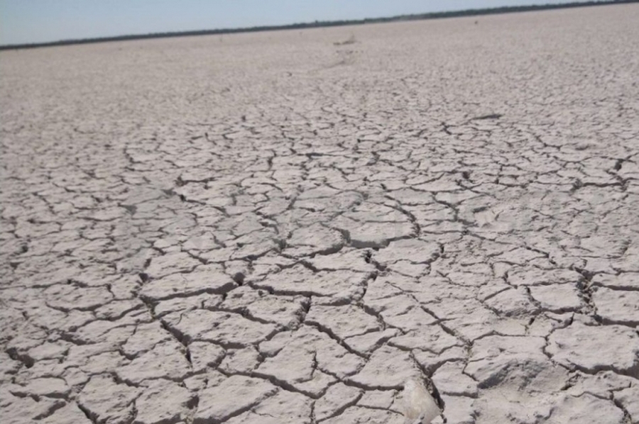 Bajante histórica: se secó el enorme humedal del balneario de Laguna Paiva