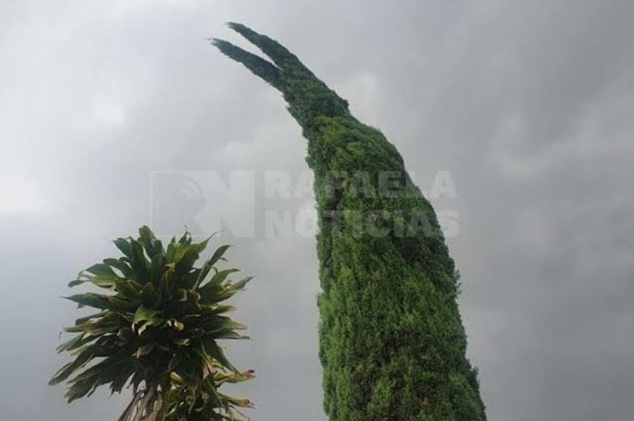 Rafaela tendrá una jornada con tormentas aisladas y ráfagas de hasta 50 km/h