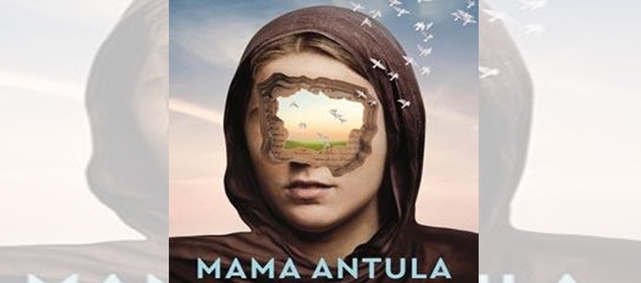 Presentan el libro 