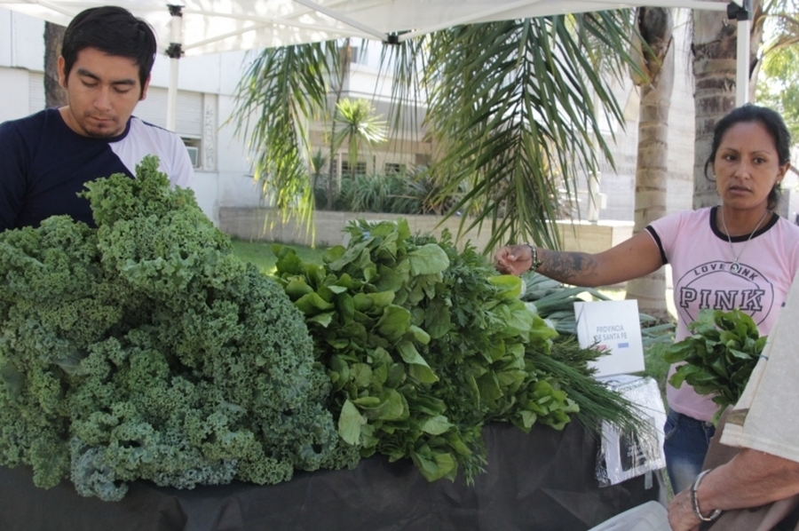 Retoma la Feria Agroecológica en la explanada del Ministerio de Producción, Ciencia y Tecnología