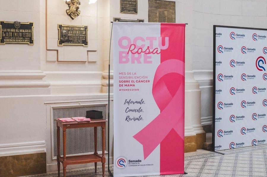 “Octubre Rosa”: el Senado impulsa acciones de prevención del cáncer de mama