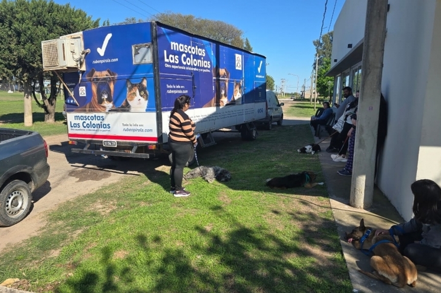 Mascotas Las Colonias cierra 2025 con cobertura total y permanente y miles de intervenciones gratuitas