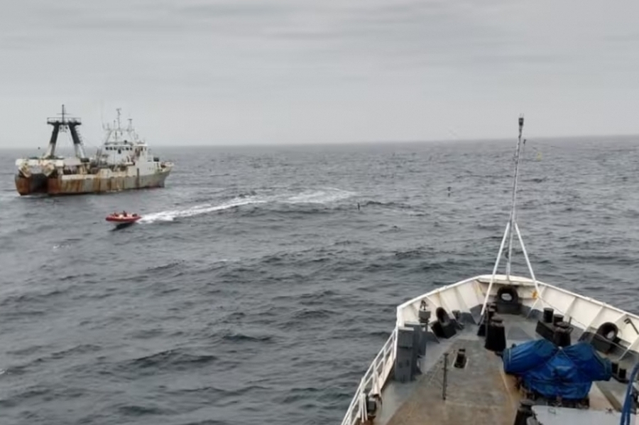 China saquea especies en la Zona Económica Exclusiva de Argentina: hace base en Chile y suma barcos clave para la pesca ilegal