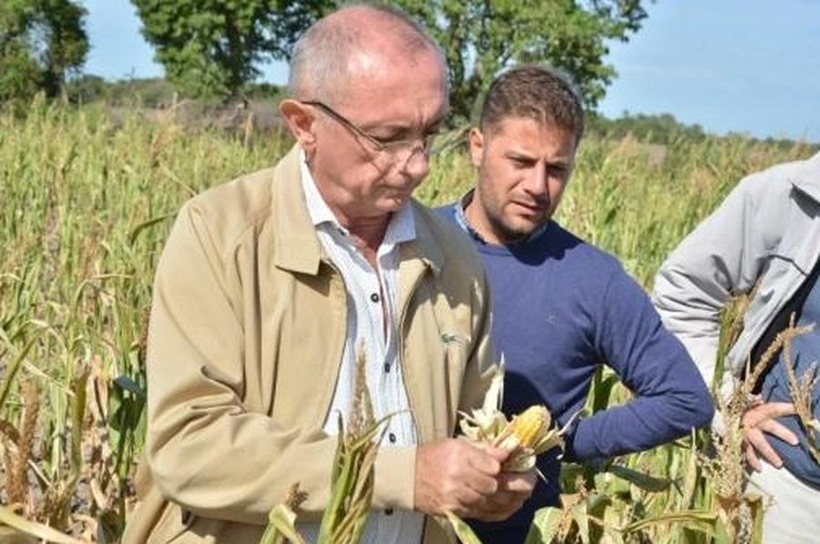 Costamagna dijo que mejoran las condiciones para las siembras de trigo, maíz y girasol luego de la prolongada sequía
