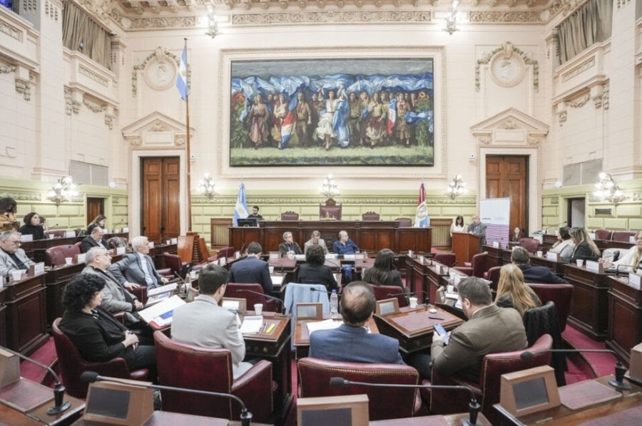 La Comisión de Poder Legislativo y Poder Ejecutivo recibió a expositores en la Cámara de Diputados