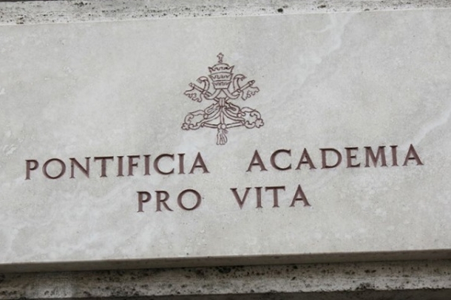 El Vaticano avala el uso de órganos animales en trasplantes a humanos