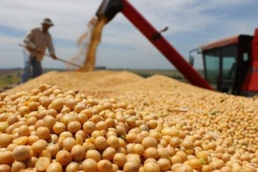 El precio internacional de la soja vuelve a superar los 600 dólares por tonelada