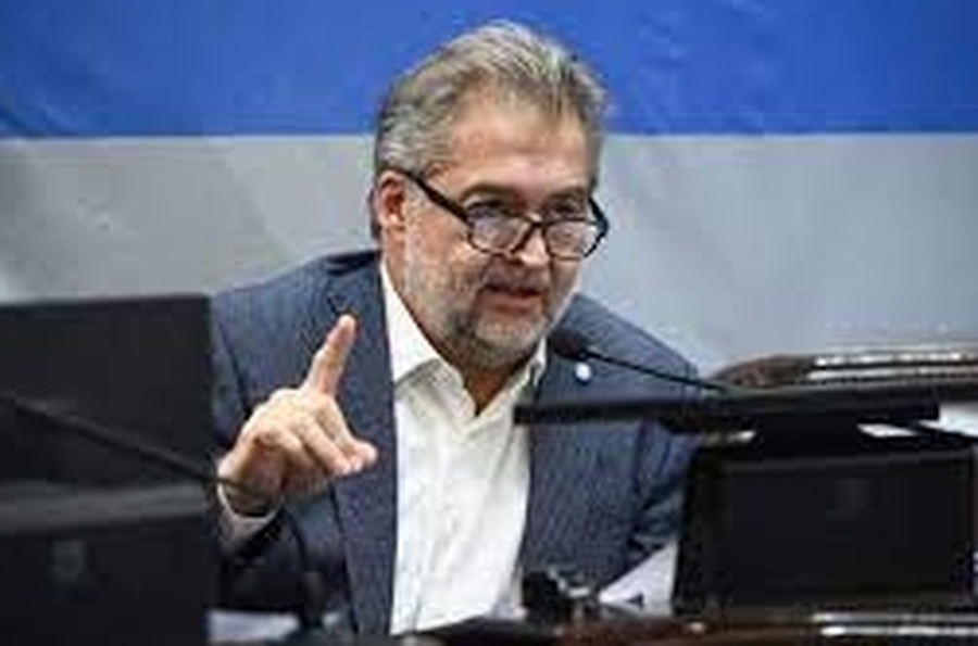 Mirabella también en desacuerdo con los dichos del presidente: 