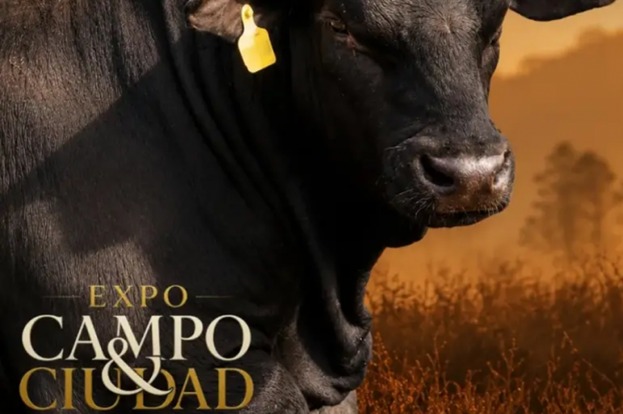 Romang prepara una nueva edición de la Expo Campo & Ciudad con actividades para productores, estudiantes y toda la comunidad