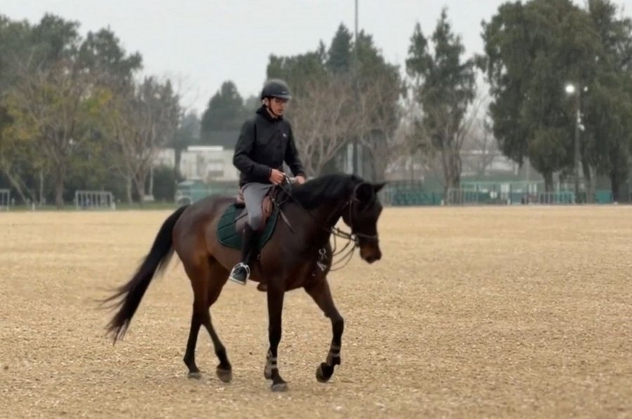 El Jockey Club Rosario se prepara para recibir las tres disciplinas ecuestres de los Juegos Suramericanos