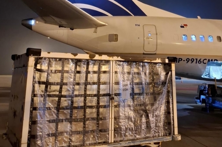 Desde Rosario ya se exporta carne y pescado por vía aérea: un hito logístico que posiciona al aeropuerto como plataforma internacional