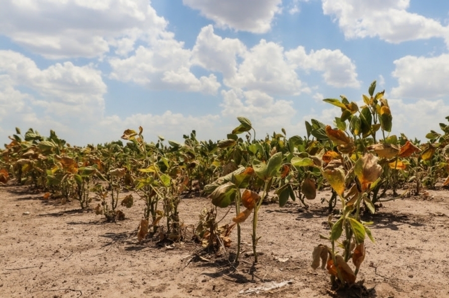 La provincia avanza en la implementación de la Emergencia Agropecuaria