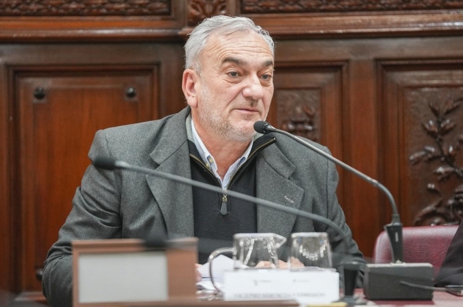 Calvo en la Convención Constituyente: 