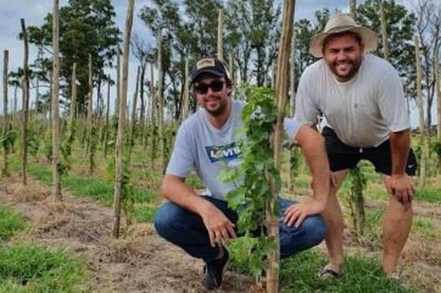 Santa Fe firmó un convenio para que se produzca vino en la provincia