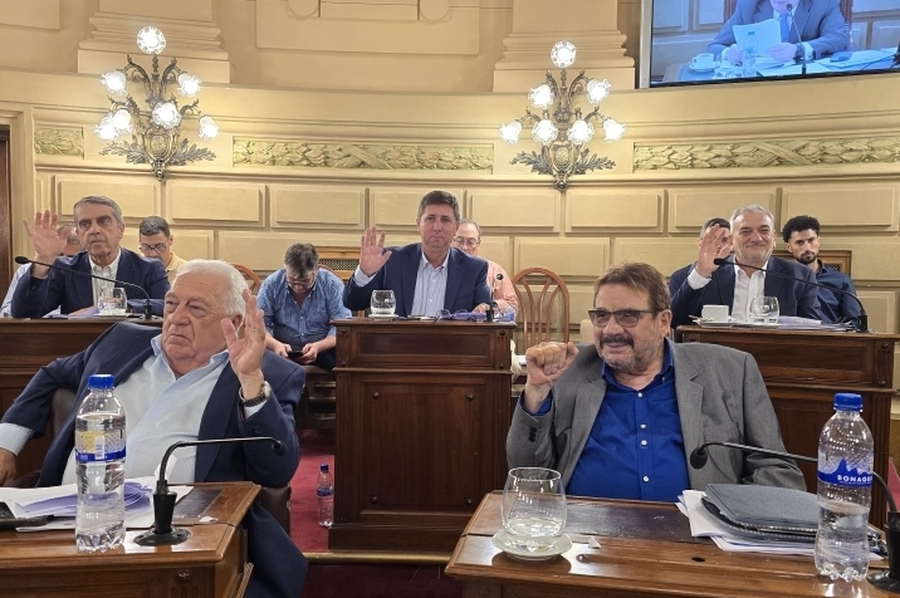 El bloque de senadores del PJ presentó un Código Electoral