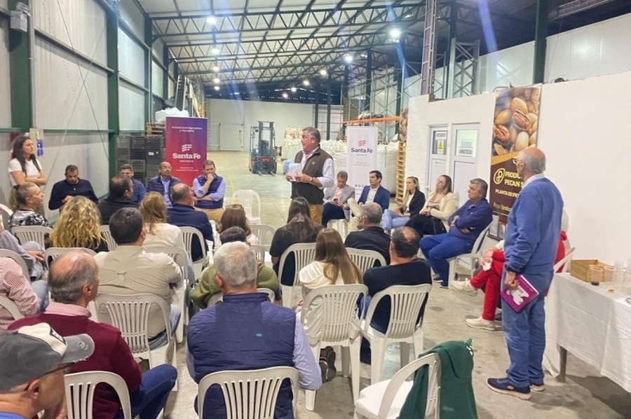 Santa Fe impulsa la producción de nuez pecán con el lanzamiento de la primera Mesa Provincial para el sector