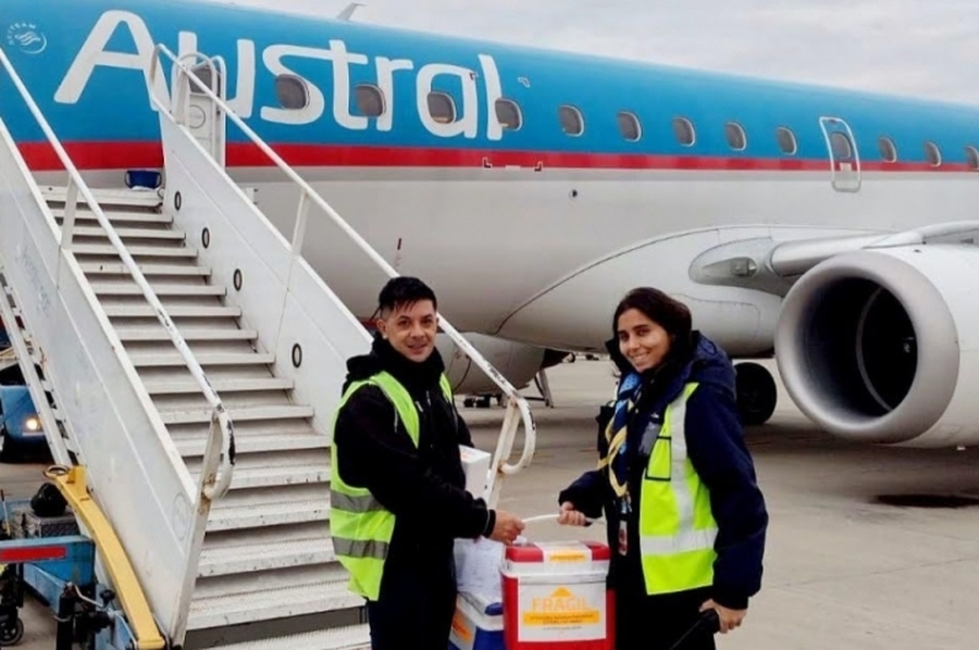 Cudaio: Santa Fe tuvo nueve procesos de donación en una semana