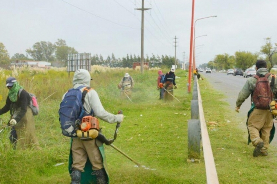 Provincia inicia un inédito proceso para el desmalezado de calzadas de rutas provinciales