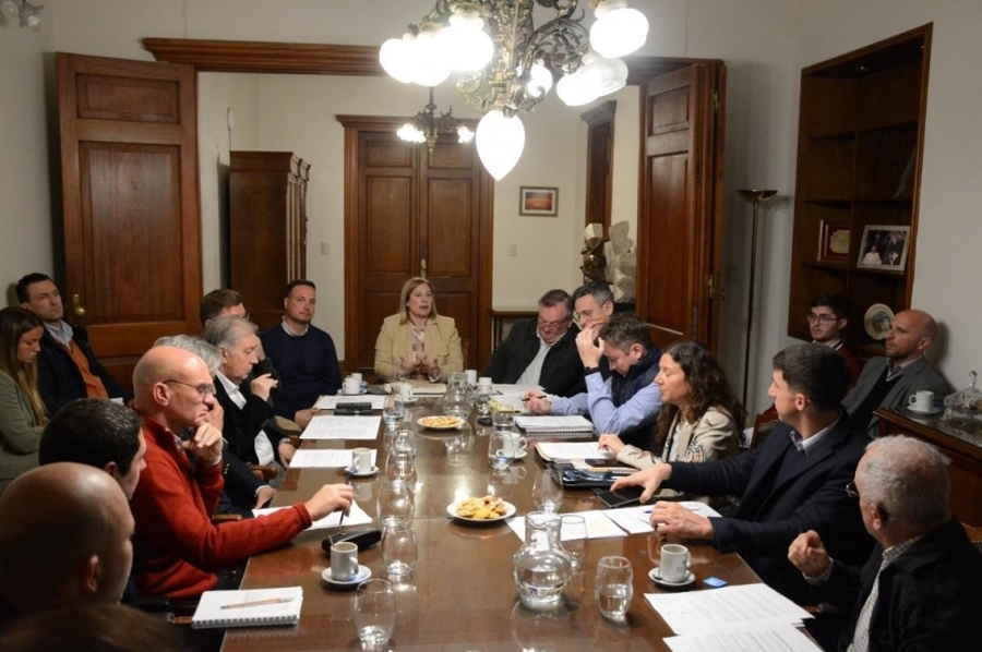 Importantes reuniones en el Senado por el proyecto para declara la Emergencia Vial