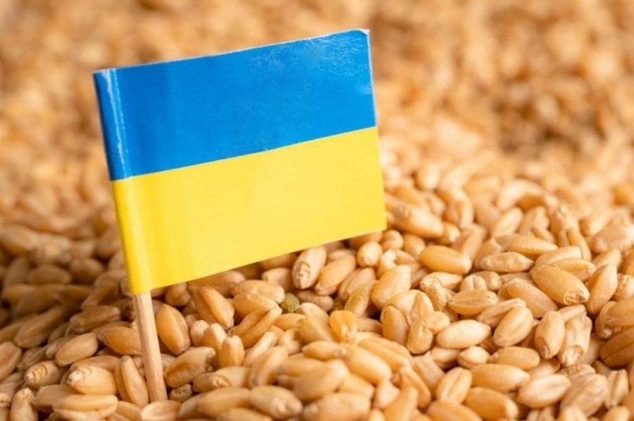 Pacto cerrado: Ucrania acordó el uso de puertos de Croacia para la exportación de cereales