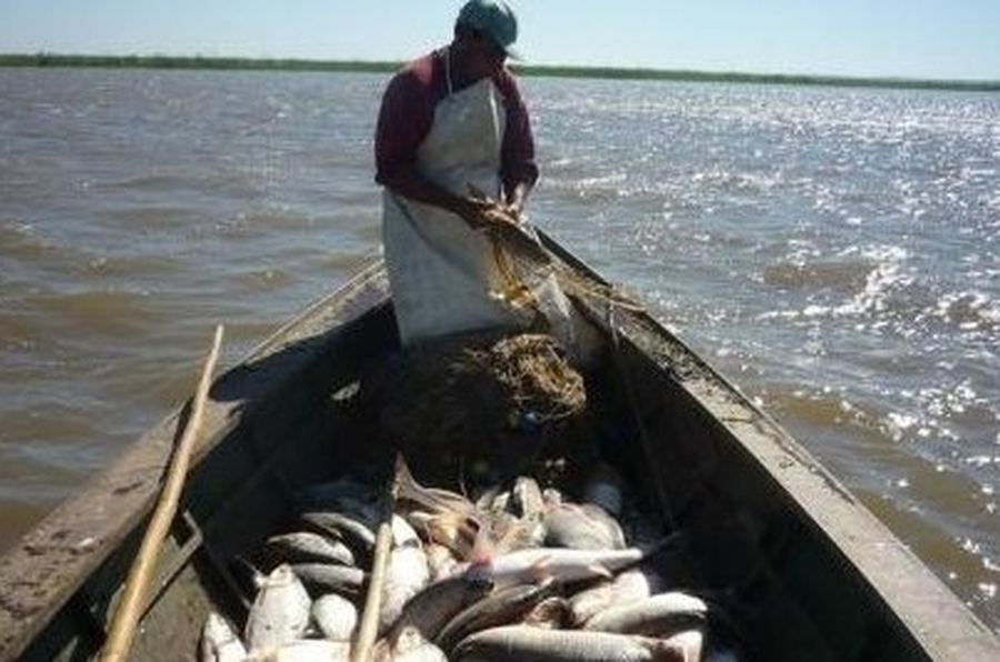 Deberán reempadronarse los pescadores que quieran continuar en el programa Potenciar Trabajo