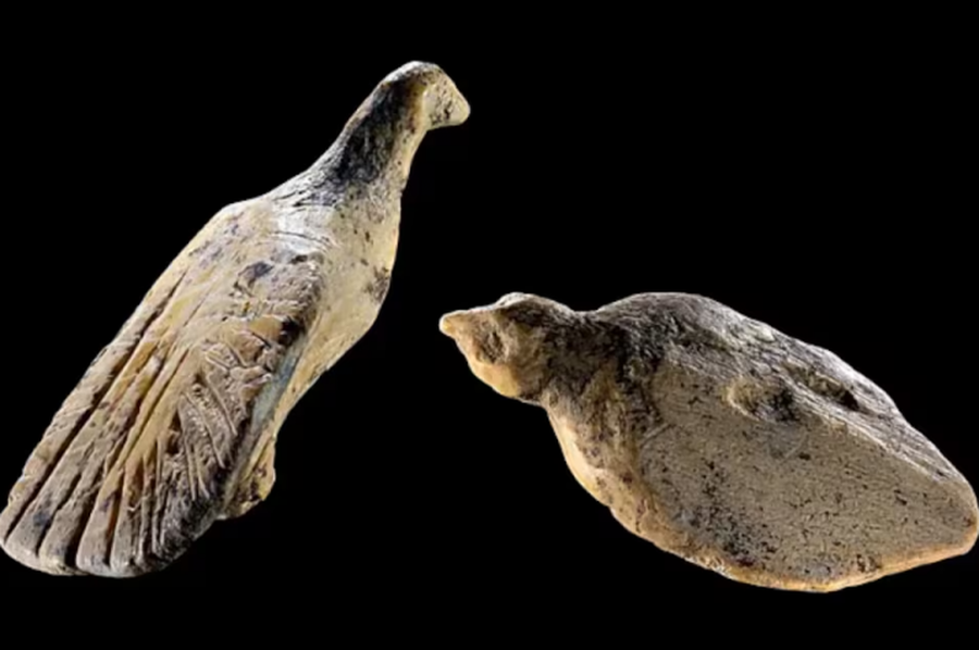 Descubren en Alemania diminutas esculturas de aves de 40.000 años