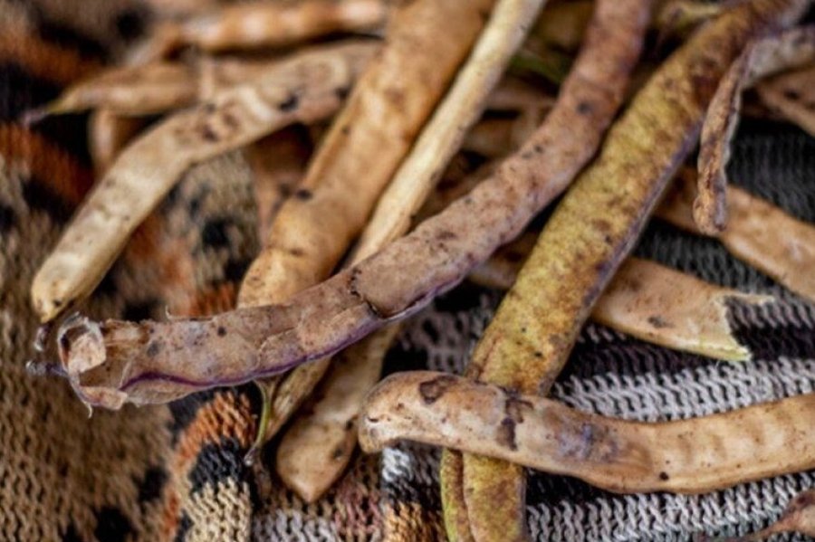 Un emprendedor esperancino puso en marcha un nuevo molino para producir harina de algarroba