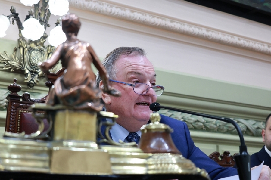 La Asamblea Legislativa aceptó la renuncia de Gisela Scaglia