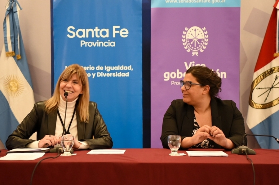 Alejandra Rodenas impulsa la capacitación Ley Micaela para Colegios Profesionales de Santa Fe